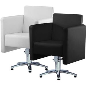 B48 Cubic Styling Chair with Hydraulic Base