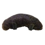 Beauty Pro Up-Do Aid, Crown Lift Pad