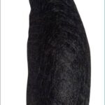 Diane Up-Do Aid Jumbo Updo Bump with Clips